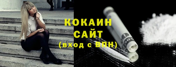 трава Арсеньев